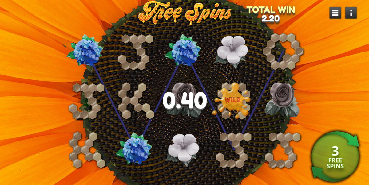 Freespinsvinst i Show Me the Honey